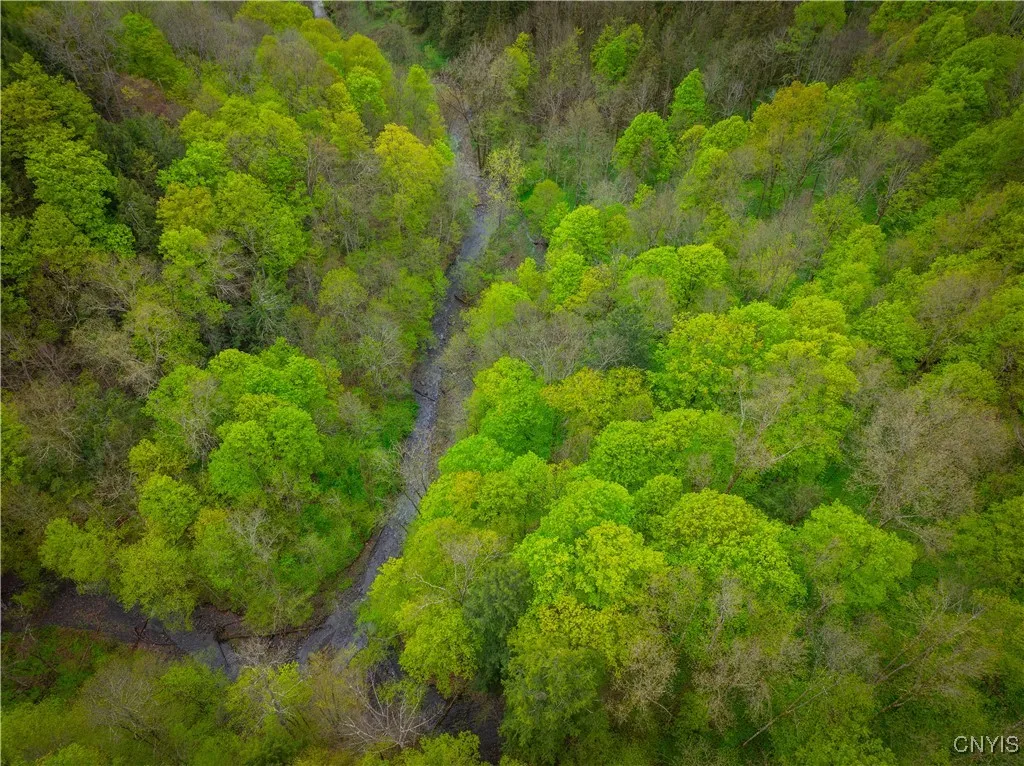 3883 State Route 28, Herkimer, New York 13350, Herkimer, New York 13350, ,Land,For Sale,3883 State Route 28, Herkimer, New York 13350,0,S1605142