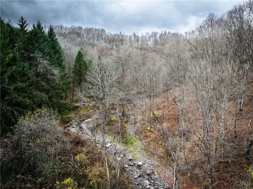 3883 State Route 28, Herkimer, New York 13350, Herkimer, New York 13350, ,Land,For Sale,3883 State Route 28, Herkimer, New York 13350,0,S1605142