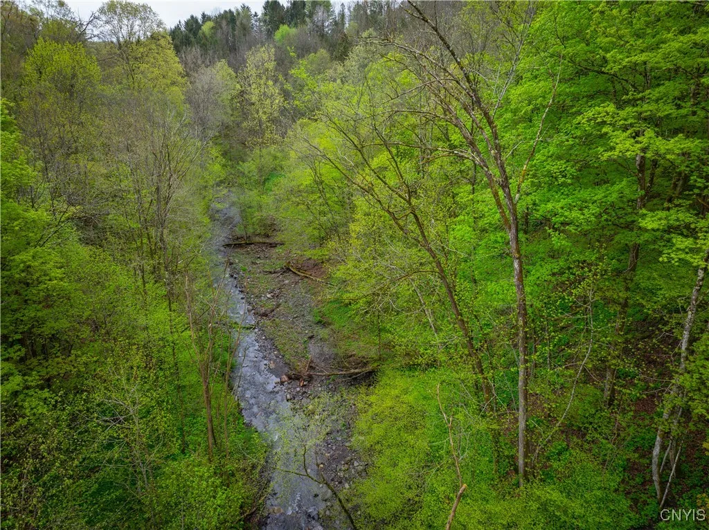 3883 State Route 28, Herkimer, New York 13350, Herkimer, New York 13350, ,Land,For Sale,3883 State Route 28, Herkimer, New York 13350,0,S1605142