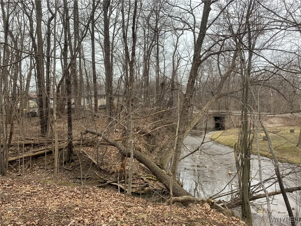 9438 Erie Road, Evans, New York 14006, Evans, New York 14006, ,Land,Closed,9438 Erie Road, Evans, New York 14006,0,B1604480