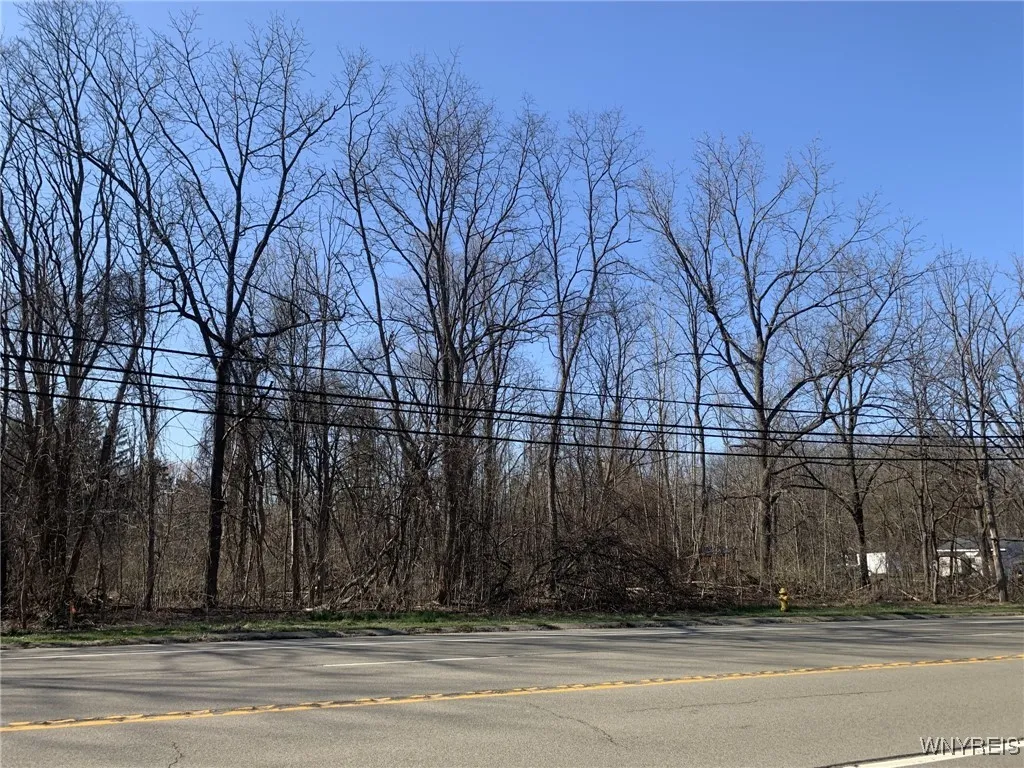 9438 Erie Road, Evans, New York 14006, Evans, New York 14006, ,Land,Closed,9438 Erie Road, Evans, New York 14006,0,B1604480