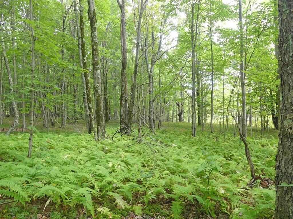 Stone Wall Drive, Bovina, New York 13731, Bovina, New York 13731, ,Land,Closed,Stone Wall Drive, Bovina, New York 13731,0,R1605228