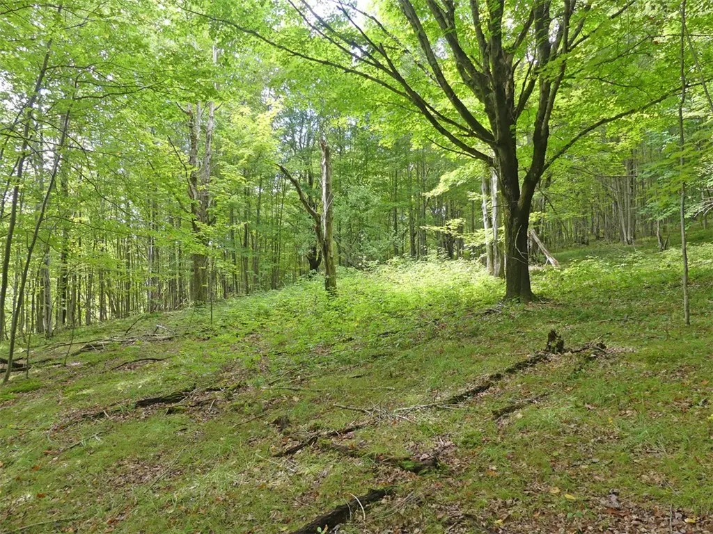 Stone Wall Drive, Bovina, New York 13731, Bovina, New York 13731, ,Land,Closed,Stone Wall Drive, Bovina, New York 13731,0,R1605228