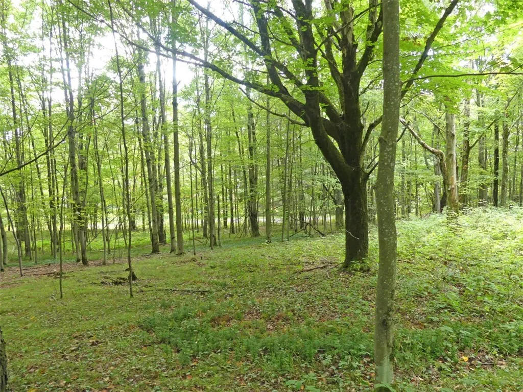 Stone Wall Drive, Bovina, New York 13731, Bovina, New York 13731, ,Land,Closed,Stone Wall Drive, Bovina, New York 13731,0,R1605228