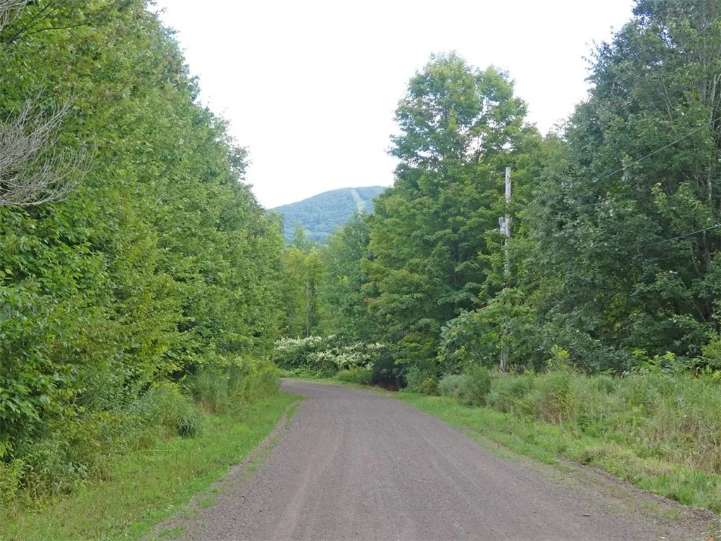 Stone Wall Drive, Bovina, New York 13731, Bovina, New York 13731, ,Land,Closed,Stone Wall Drive, Bovina, New York 13731,0,R1605228