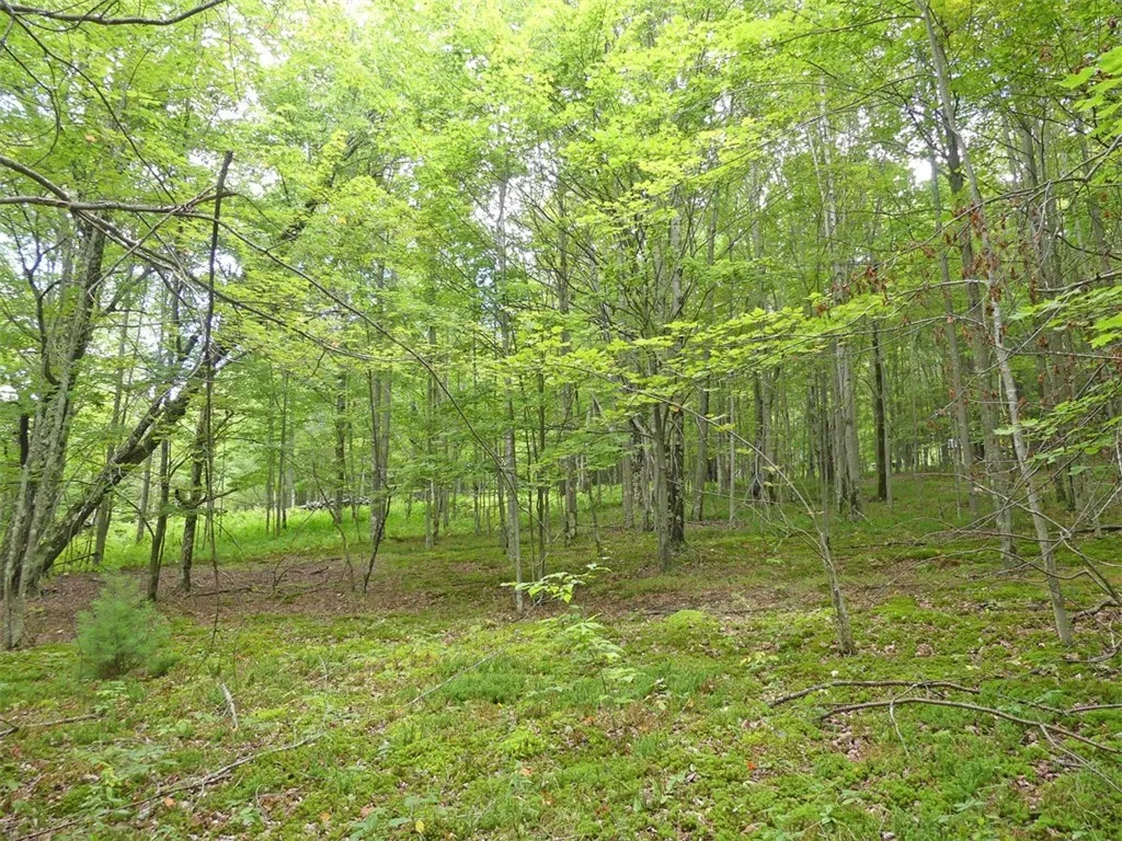 Stone Wall Drive, Bovina, New York 13731, Bovina, New York 13731, ,Land,Closed,Stone Wall Drive, Bovina, New York 13731,0,R1605228