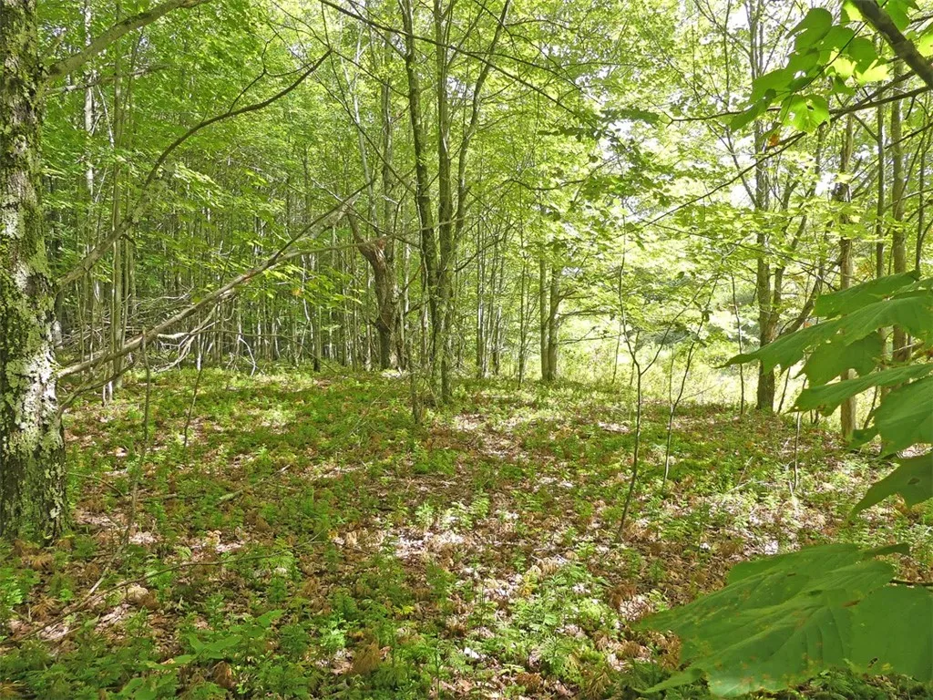 Stone Wall Drive, Bovina, New York 13731, Bovina, New York 13731, ,Land,Closed,Stone Wall Drive, Bovina, New York 13731,0,R1605228