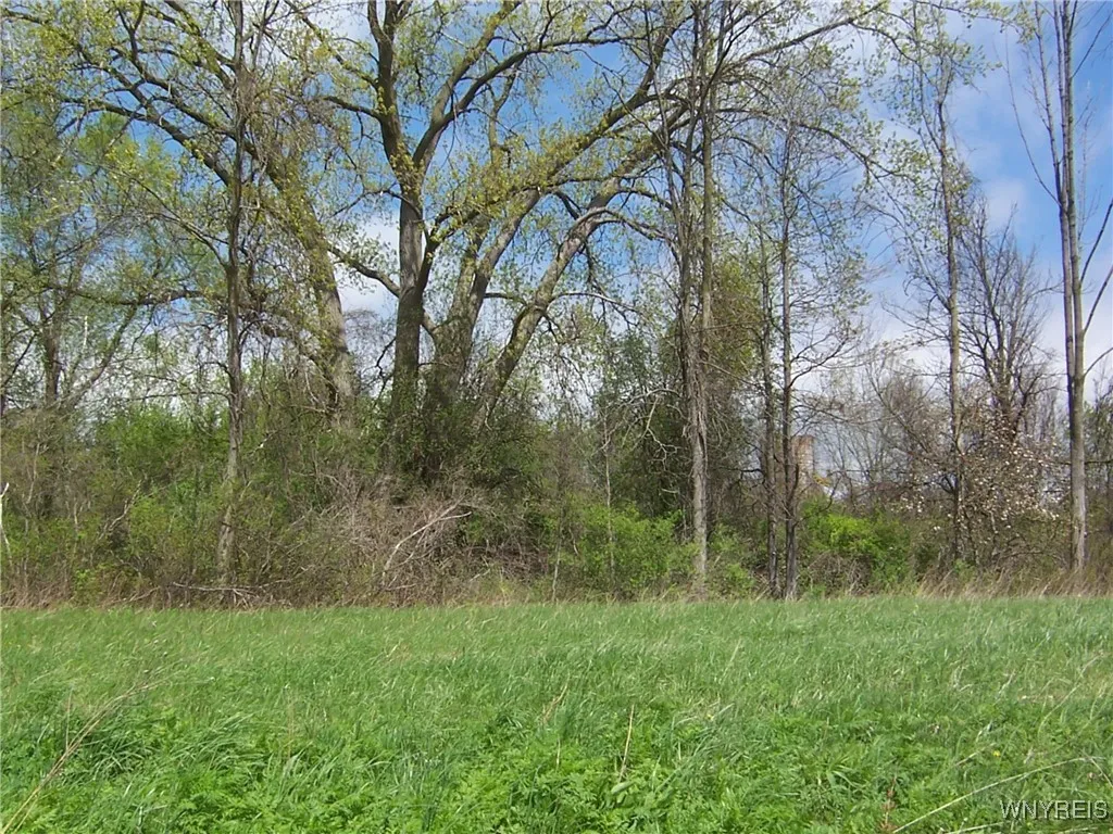 0 Pearl & Wortendke Road, Batavia-town, New Yo, Batavia, New York 14020, ,Land,For Sale,0 Pearl & Wortendke Road, Batavia-town, New Yo,0,B1605288