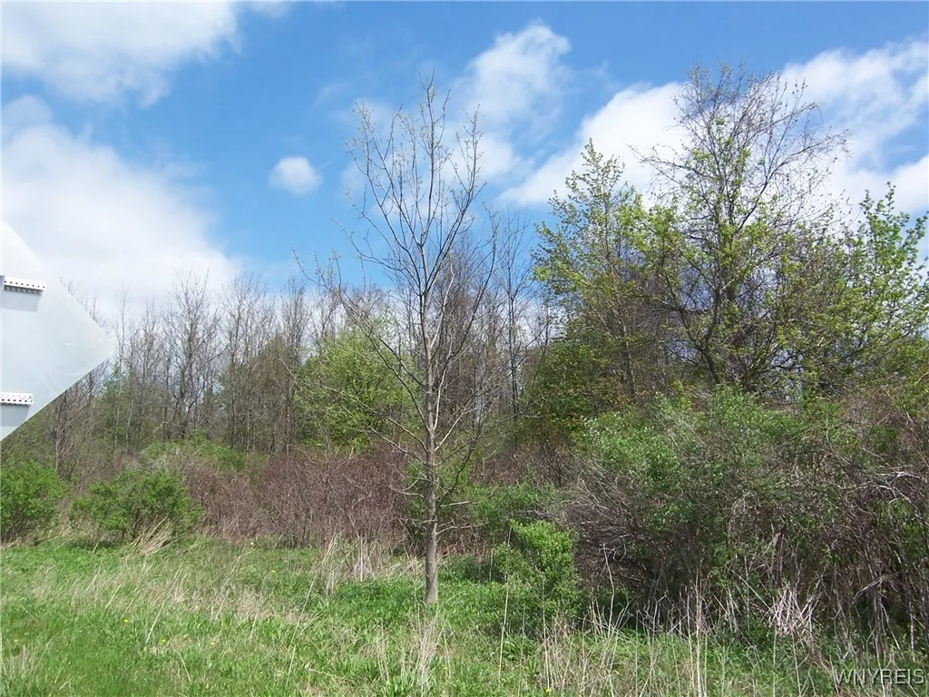 0 Pearl & Wortendke Road, Batavia-town, New Yo, Batavia, New York 14020, ,Land,For Sale,0 Pearl & Wortendke Road, Batavia-town, New Yo,0,B1605288
