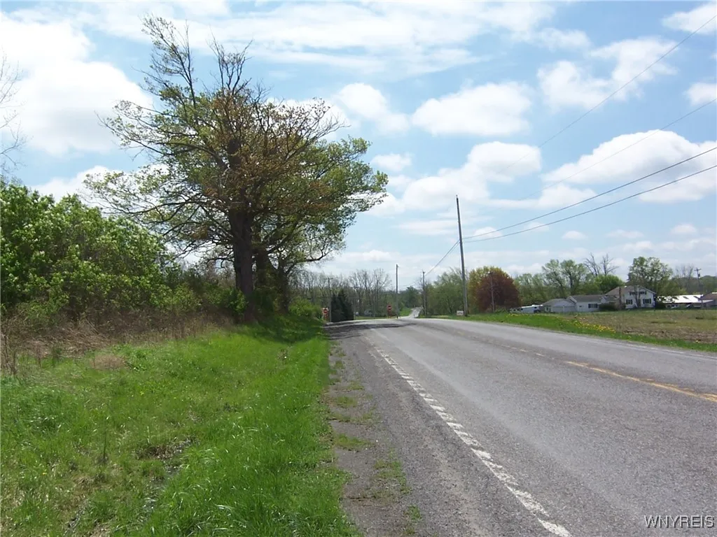 0 Pearl & Wortendke Road, Batavia-town, New Yo, Batavia, New York 14020, ,Land,For Sale,0 Pearl & Wortendke Road, Batavia-town, New Yo,0,B1605288