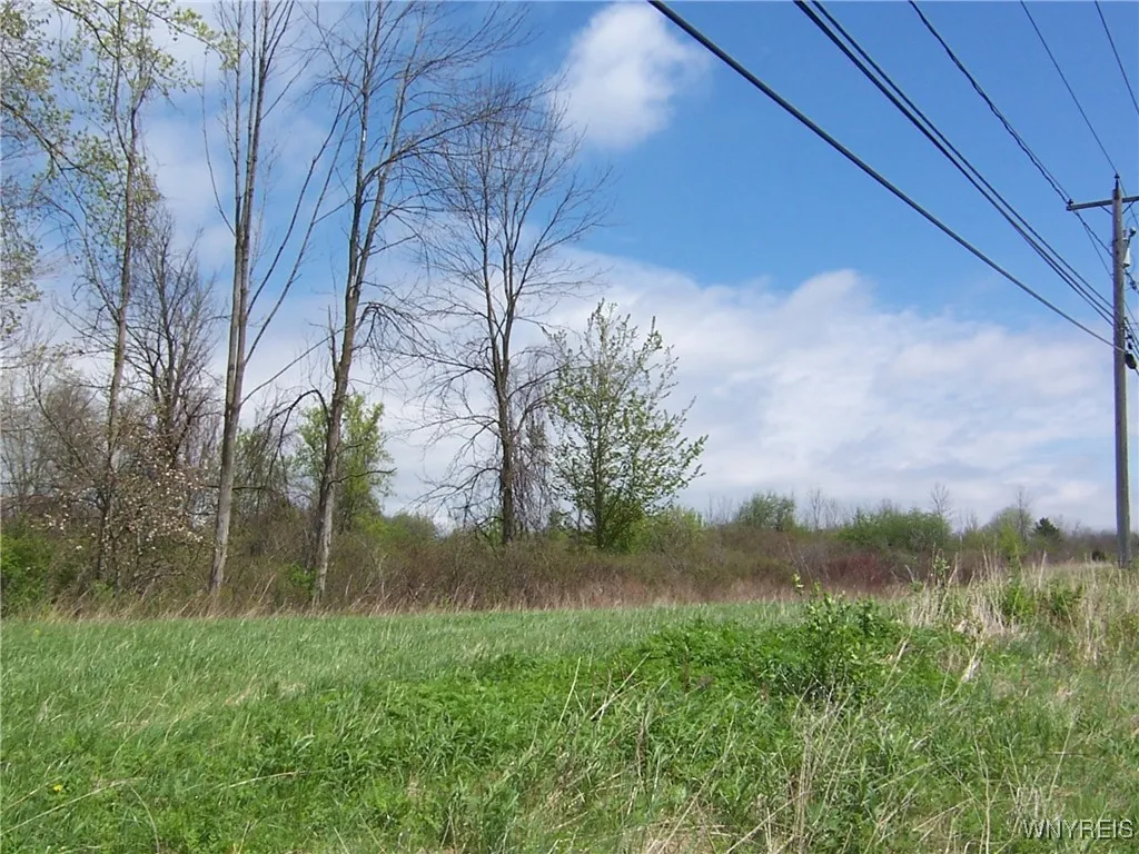 0 Pearl & Wortendke Road, Batavia-town, New Yo, Batavia, New York 14020, ,Land,For Sale,0 Pearl & Wortendke Road, Batavia-town, New Yo,0,B1605288