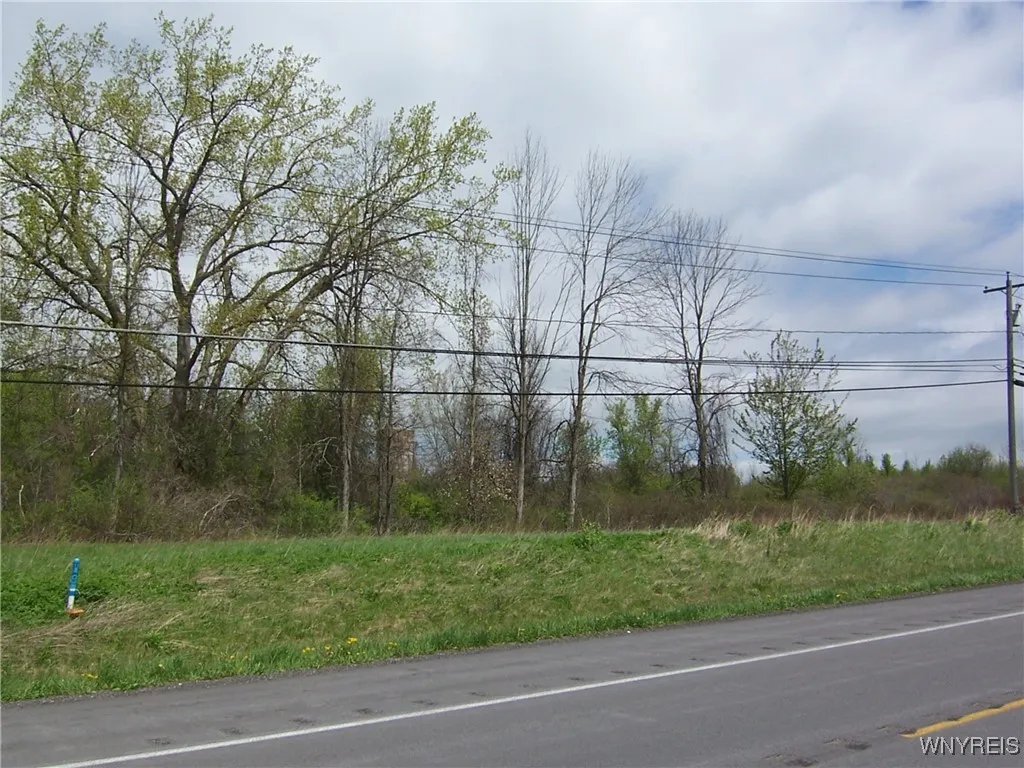 0 Pearl & Wortendke Road, Batavia-town, New Yo, Batavia, New York 14020, ,Land,For Sale,0 Pearl & Wortendke Road, Batavia-town, New Yo,0,B1605288