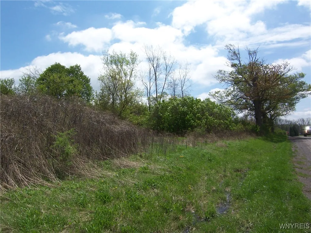 0 Pearl & Wortendke Road, Batavia-town, New Yo, Batavia, New York 14020, ,Land,For Sale,0 Pearl & Wortendke Road, Batavia-town, New Yo,0,B1605288