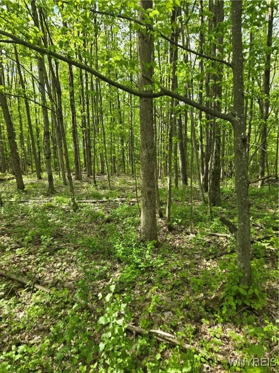 172 Sunset Lane, Fairfield, New York 13365, Fairfield, New York 13365, 3 Bedrooms Bedrooms, 8 Rooms Rooms,2 BathroomsBathrooms,Residential,Closed,172 Sunset Lane, Fairfield, New York 13365,B1602430