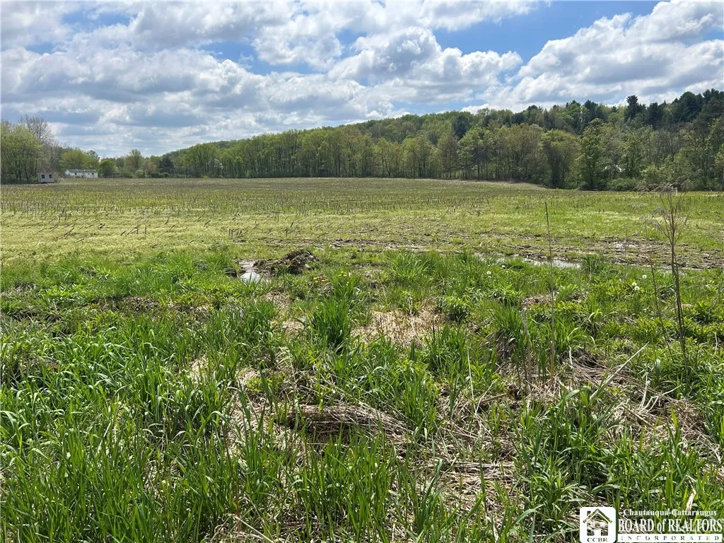12278 Route 394, Randolph, New York 14772, Randolph, New York 14772, 2 Bedrooms Bedrooms, 3 Rooms Rooms,1 BathroomBathrooms,Residential,Closed,12278 Route 394, Randolph, New York 14772,R1605619