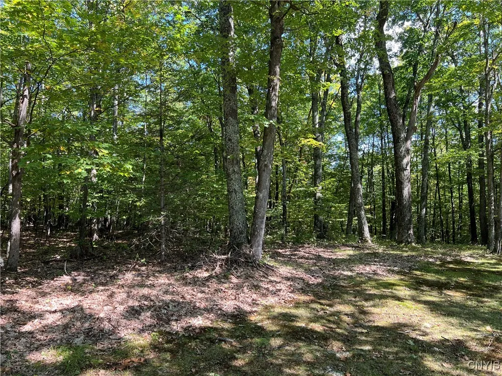 190 Lynx Drive, Fulton, New York 12149, Fulton, New York 12149, 3 Bedrooms Bedrooms, 8 Rooms Rooms,2 BathroomsBathrooms,Residential,Closed,190 Lynx Drive, Fulton, New York 12149,0,S1605710