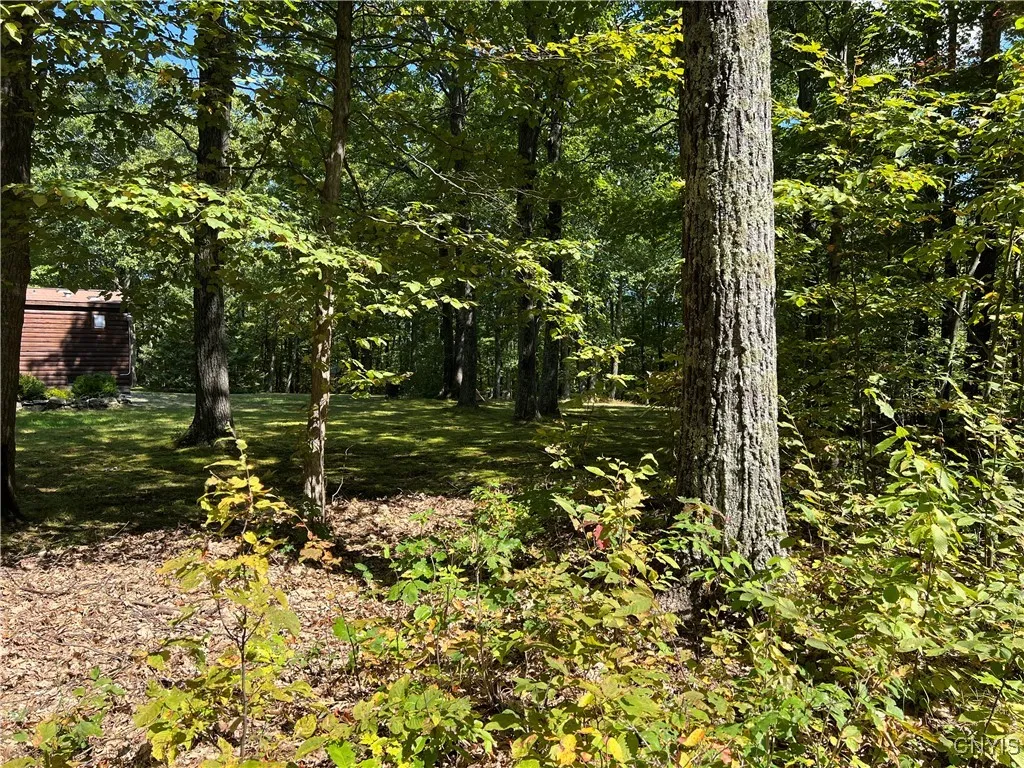 190 Lynx Drive, Fulton, New York 12149, Fulton, New York 12149, 3 Bedrooms Bedrooms, 8 Rooms Rooms,2 BathroomsBathrooms,Residential,Closed,190 Lynx Drive, Fulton, New York 12149,0,S1605710