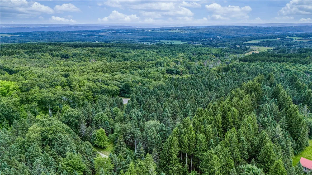5321 Highlands Drive, Italy, New York 14418, Italy, New York 14418, ,Land,For Sale,5321 Highlands Drive, Italy, New York 14418,0,R1605736