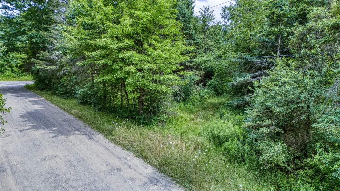 5321 Highlands Drive, Italy, New York 14418, Italy, New York 14418, ,Land,For Sale,5321 Highlands Drive, Italy, New York 14418,0,R1605736