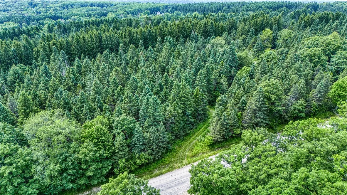 5321 Highlands Drive, Italy, New York 14418, Italy, New York 14418, ,Land,For Sale,5321 Highlands Drive, Italy, New York 14418,0,R1605736