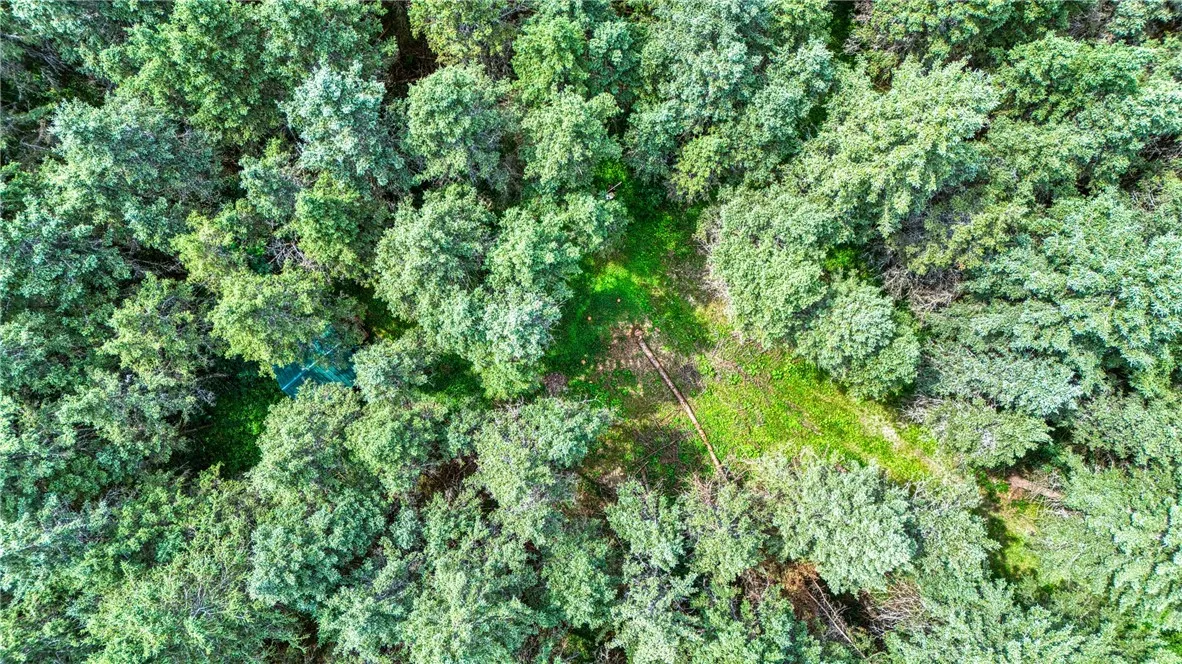 5321 Highlands Drive, Italy, New York 14418, Italy, New York 14418, ,Land,For Sale,5321 Highlands Drive, Italy, New York 14418,0,R1605736