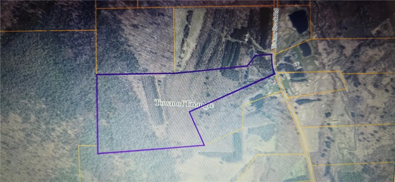 277 Ticknor, Triangle, New York 13862, Triangle, New York 13862, ,Land,For Sale,277 Ticknor, Triangle, New York 13862,0,R1605835