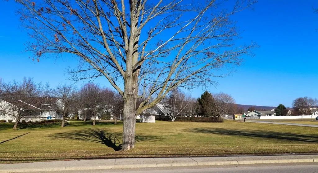 70 Beartown Road, Erwin, New York 14870, Erwin, New York 14870, ,Land,For Sale,70 Beartown Road, Erwin, New York 14870,0,R1604720