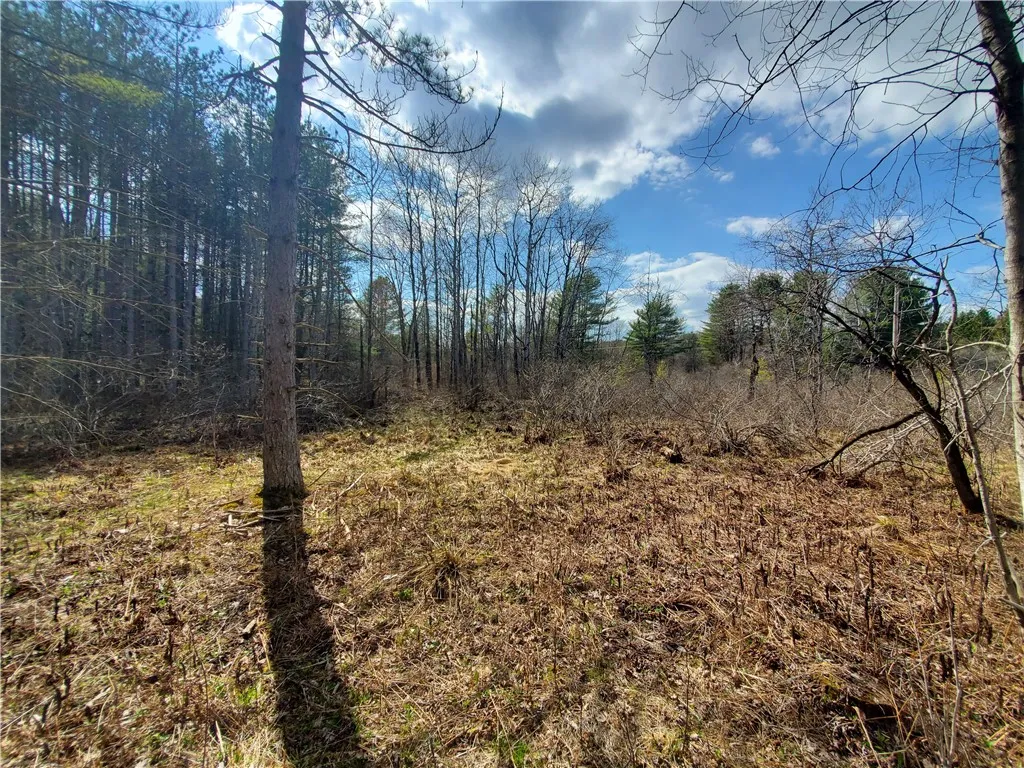 Lot 15 Nelson Rd., Butternuts, New York 13843, Butternuts, New York 13843, ,Land,Closed,Lot 15 Nelson Rd., Butternuts, New York 13843,0,R1604313