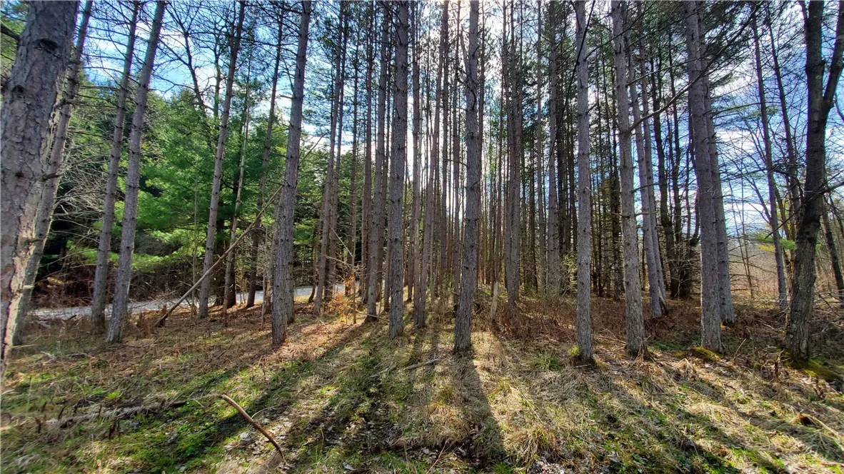 Lot 15 Nelson Rd., Butternuts, New York 13843, Butternuts, New York 13843, ,Land,Closed,Lot 15 Nelson Rd., Butternuts, New York 13843,0,R1604313