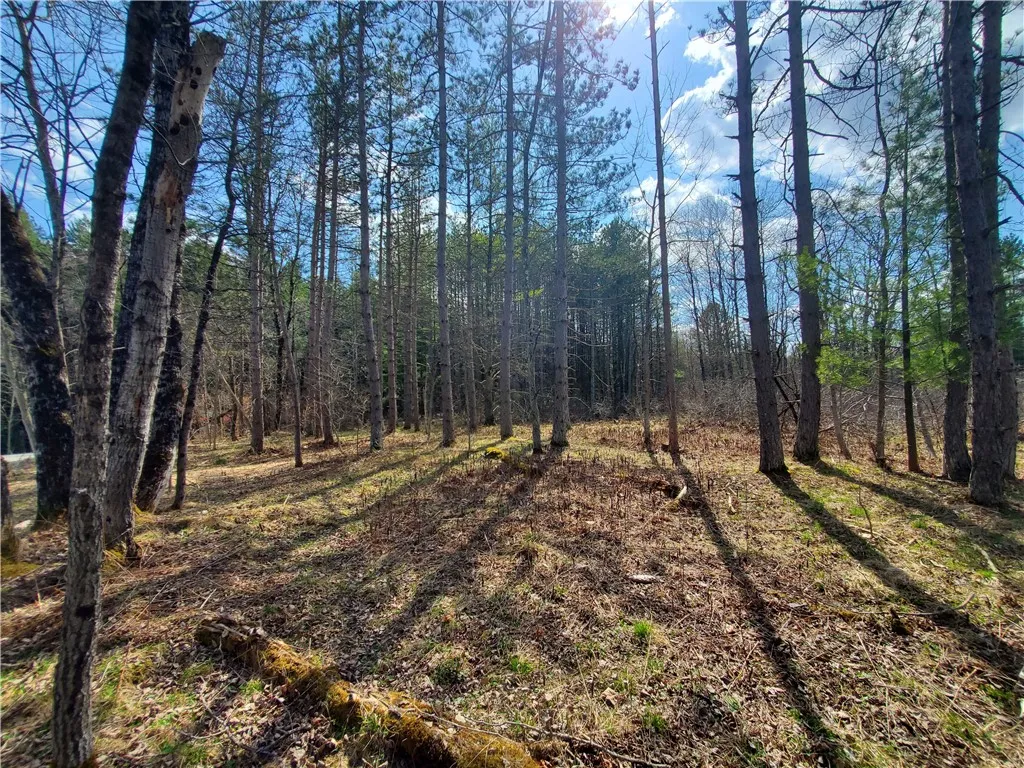 Lot 15 Nelson Rd., Butternuts, New York 13843, Butternuts, New York 13843, ,Land,Closed,Lot 15 Nelson Rd., Butternuts, New York 13843,0,R1604313