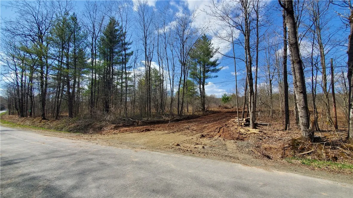 Lot 15 Nelson Rd., Butternuts, New York 13843, Butternuts, New York 13843, ,Land,Closed,Lot 15 Nelson Rd., Butternuts, New York 13843,0,R1604313