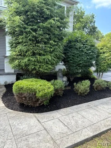 front walk