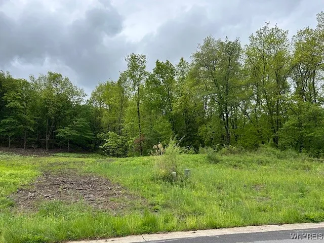 4951 Big Vista Drive, Lewiston, New York 14092, Lewiston, New York 14092, ,Land,For Sale,4951 Big Vista Drive, Lewiston, New York 14092,0,B1604608