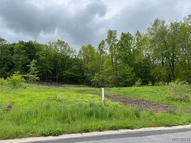 4951 Big Vista Drive, Lewiston, New York 14092, Lewiston, New York 14092, ,Land,For Sale,4951 Big Vista Drive, Lewiston, New York 14092,0,B1604608