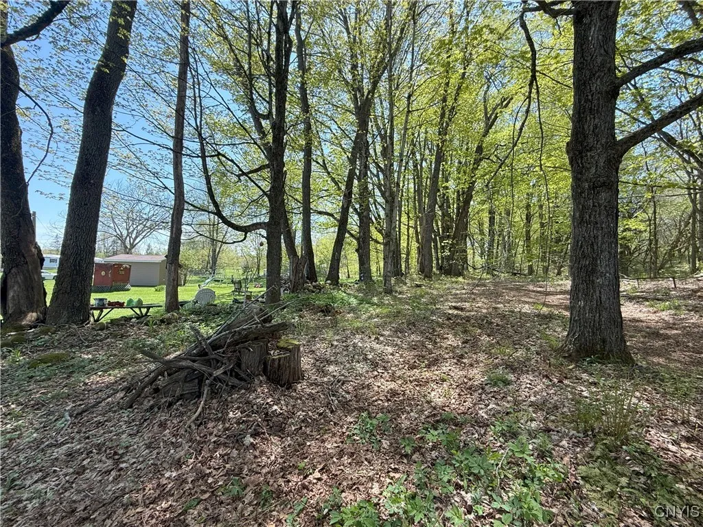 9985 Briggs Road, Remsen, New York 13438, Remsen, New York 13438, 5 Rooms Rooms,Residential,For Sale,9985 Briggs Road, Remsen, New York 13438,S1606457