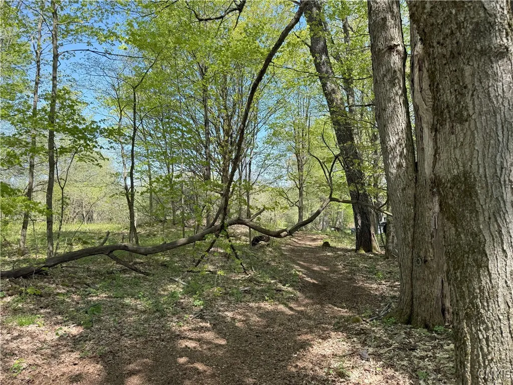 9985 Briggs Road, Remsen, New York 13438, Remsen, New York 13438, 5 Rooms Rooms,Residential,For Sale,9985 Briggs Road, Remsen, New York 13438,S1606457