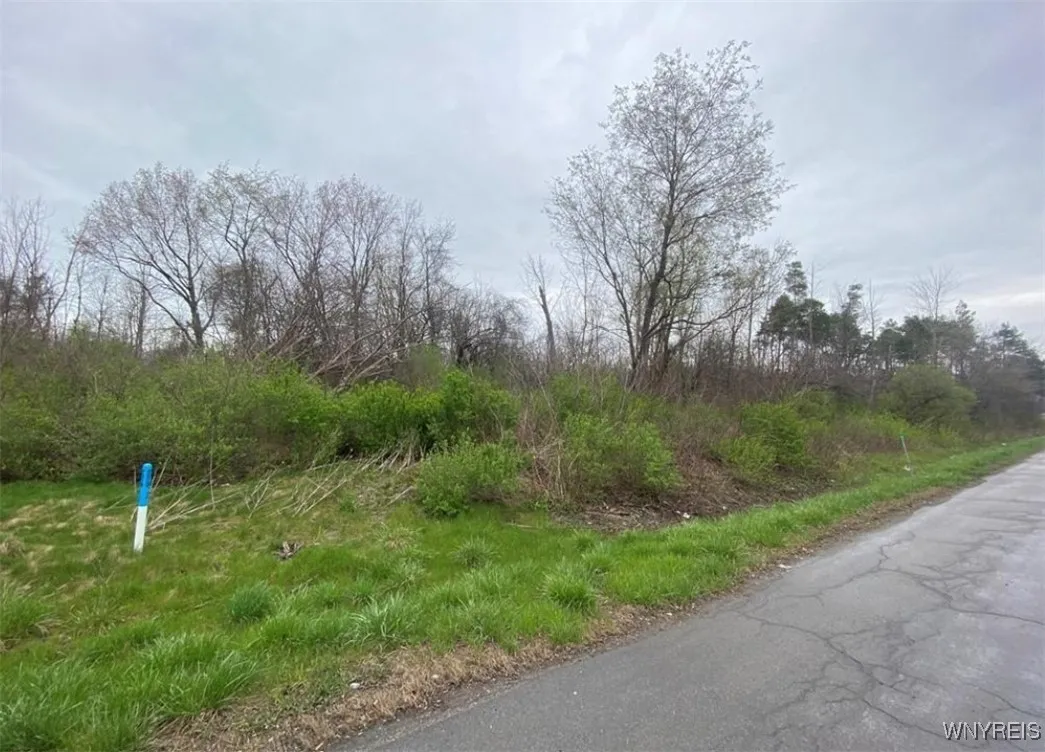 Vl Lake Shore Road, Hamburg, New York 14085, Hamburg, New York 14085, ,Land,For Sale,Vl Lake Shore Road, Hamburg, New York 14085,0,B1606554 Vl Lake Shore Road, Hamburg, New York 14085, Hamburg, New York 14085, ,Land,For Sale,Vl Lake Shore Road, Hamburg, New York 14085,0,B1606554