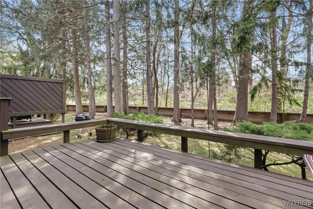 Back deck
