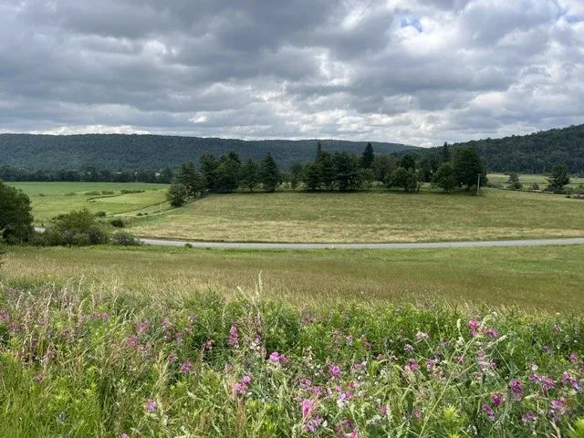 463 Cemetery Road, Seward, New York 12043, Seward, New York 12043, ,Land,For Sale,463 Cemetery Road, Seward, New York 12043,0,R1606320