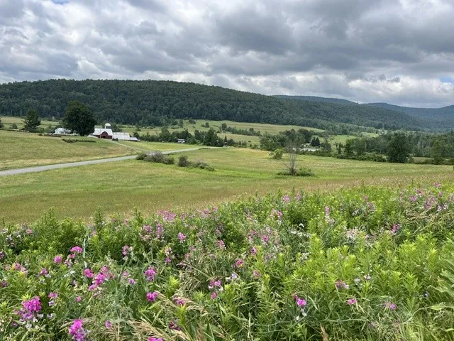 463 Cemetery Road, Seward, New York 12043, Seward, New York 12043, ,Land,For Sale,463 Cemetery Road, Seward, New York 12043,0,R1606320