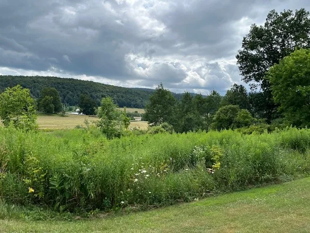 view across the street