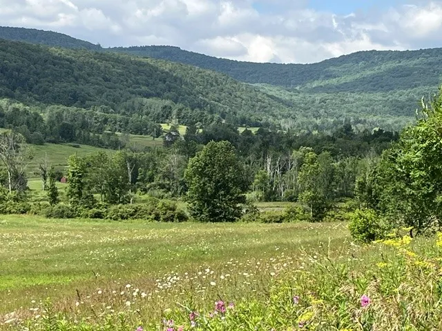 463 Cemetery Road, Seward, New York 12043, Seward, New York 12043, ,Land,For Sale,463 Cemetery Road, Seward, New York 12043,0,R1606320