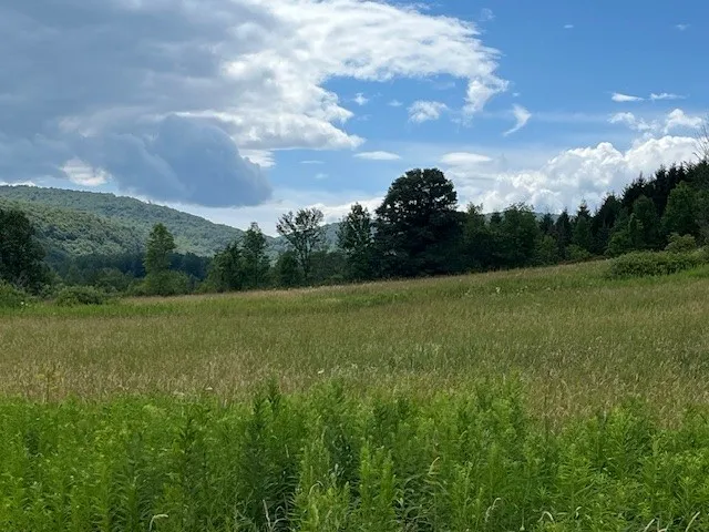 463 Cemetery Road, Seward, New York 12043, Seward, New York 12043, ,Land,For Sale,463 Cemetery Road, Seward, New York 12043,0,R1606320