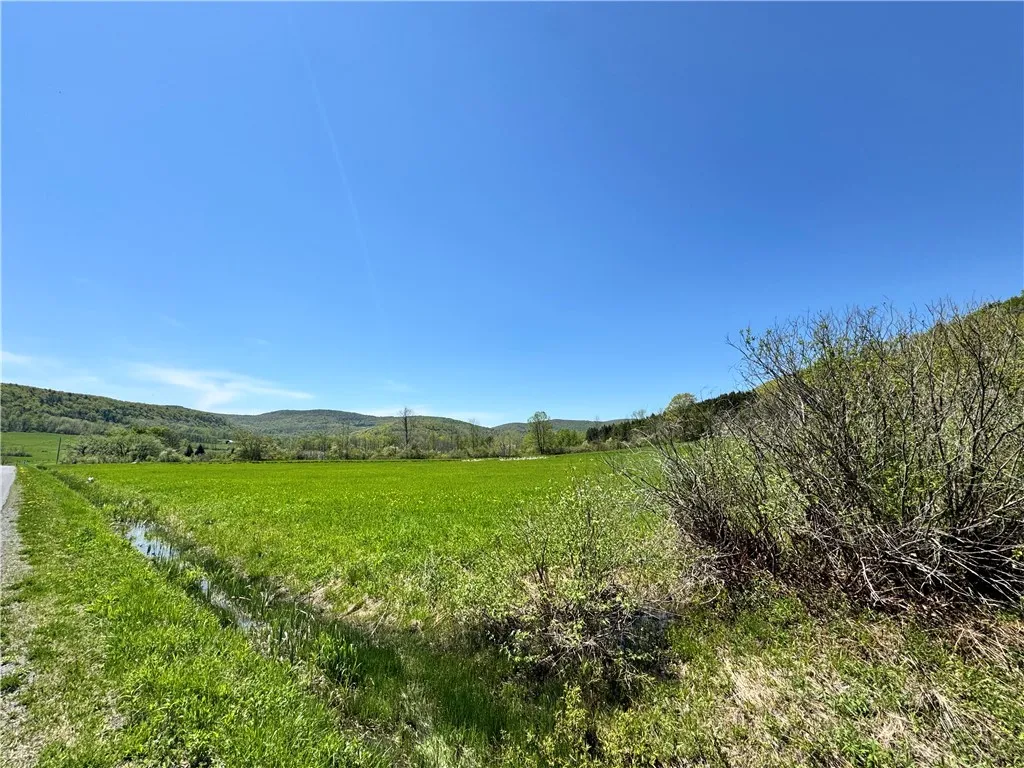 463 Cemetery Road, Seward, New York 12043, Seward, New York 12043, ,Land,For Sale,463 Cemetery Road, Seward, New York 12043,0,R1606320