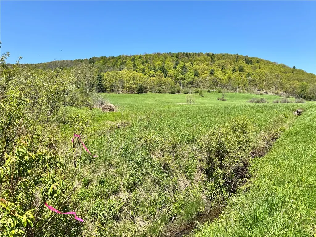 463 Cemetery Road, Seward, New York 12043, Seward, New York 12043, ,Land,For Sale,463 Cemetery Road, Seward, New York 12043,0,R1606320