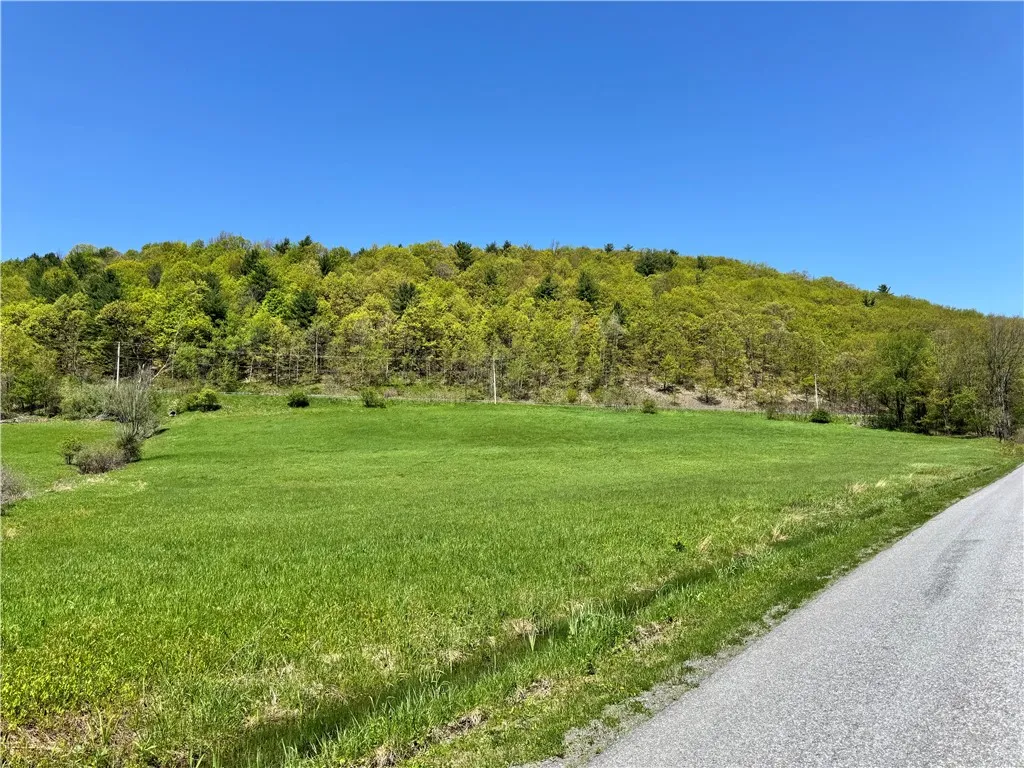 463 Cemetery Road, Seward, New York 12043, Seward, New York 12043, ,Land,For Sale,463 Cemetery Road, Seward, New York 12043,0,R1606320