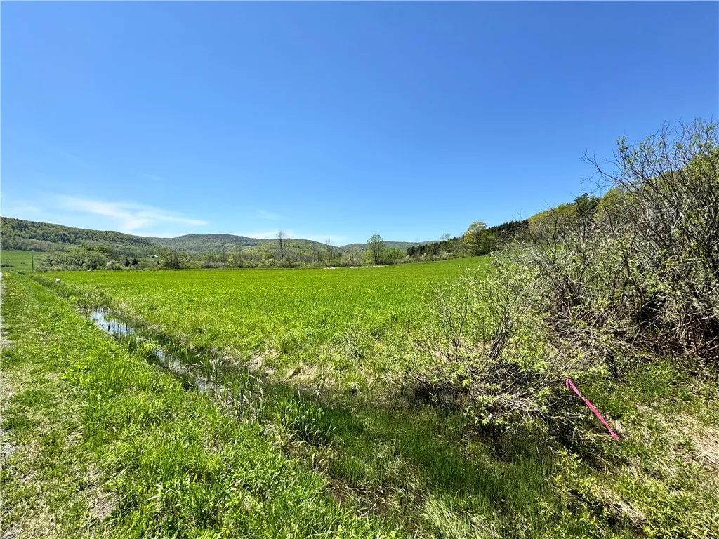 463 Cemetery Road, Seward, New York 12043, Seward, New York 12043, ,Land,For Sale,463 Cemetery Road, Seward, New York 12043,0,R1606320