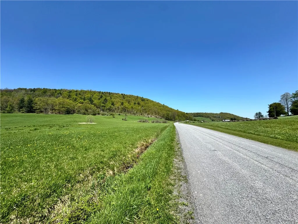 463 Cemetery Road, Seward, New York 12043, Seward, New York 12043, ,Land,For Sale,463 Cemetery Road, Seward, New York 12043,0,R1606320