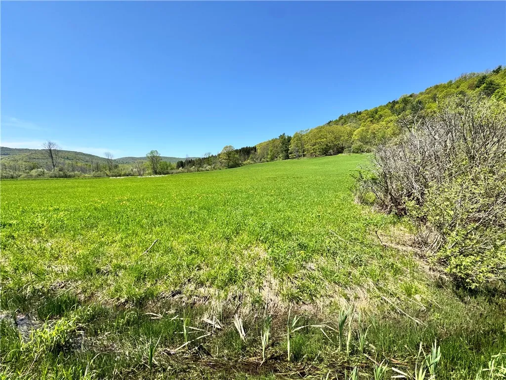 463 Cemetery Road, Seward, New York 12043, Seward, New York 12043, ,Land,For Sale,463 Cemetery Road, Seward, New York 12043,0,R1606320