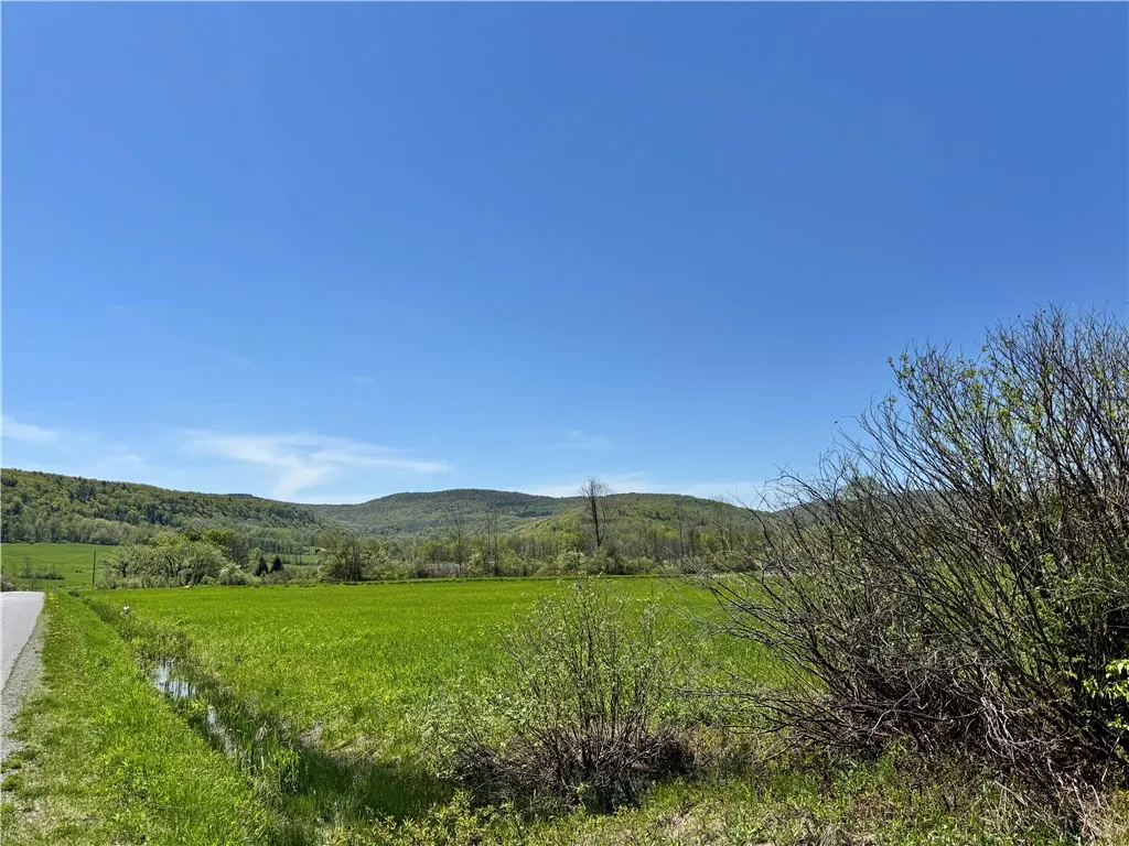 463 Cemetery Road, Seward, New York 12043, Seward, New York 12043, ,Land,For Sale,463 Cemetery Road, Seward, New York 12043,0,R1606320